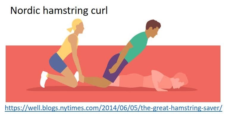 nordic hamstring curl