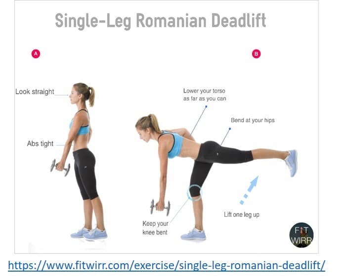 single leg Romanian deadlift