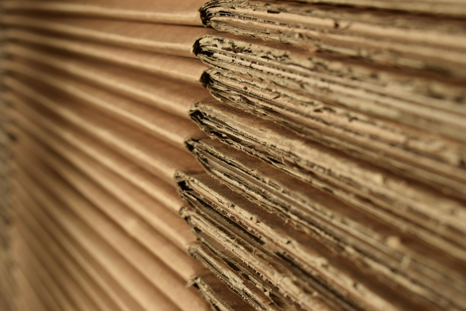 Corrugated cardboard