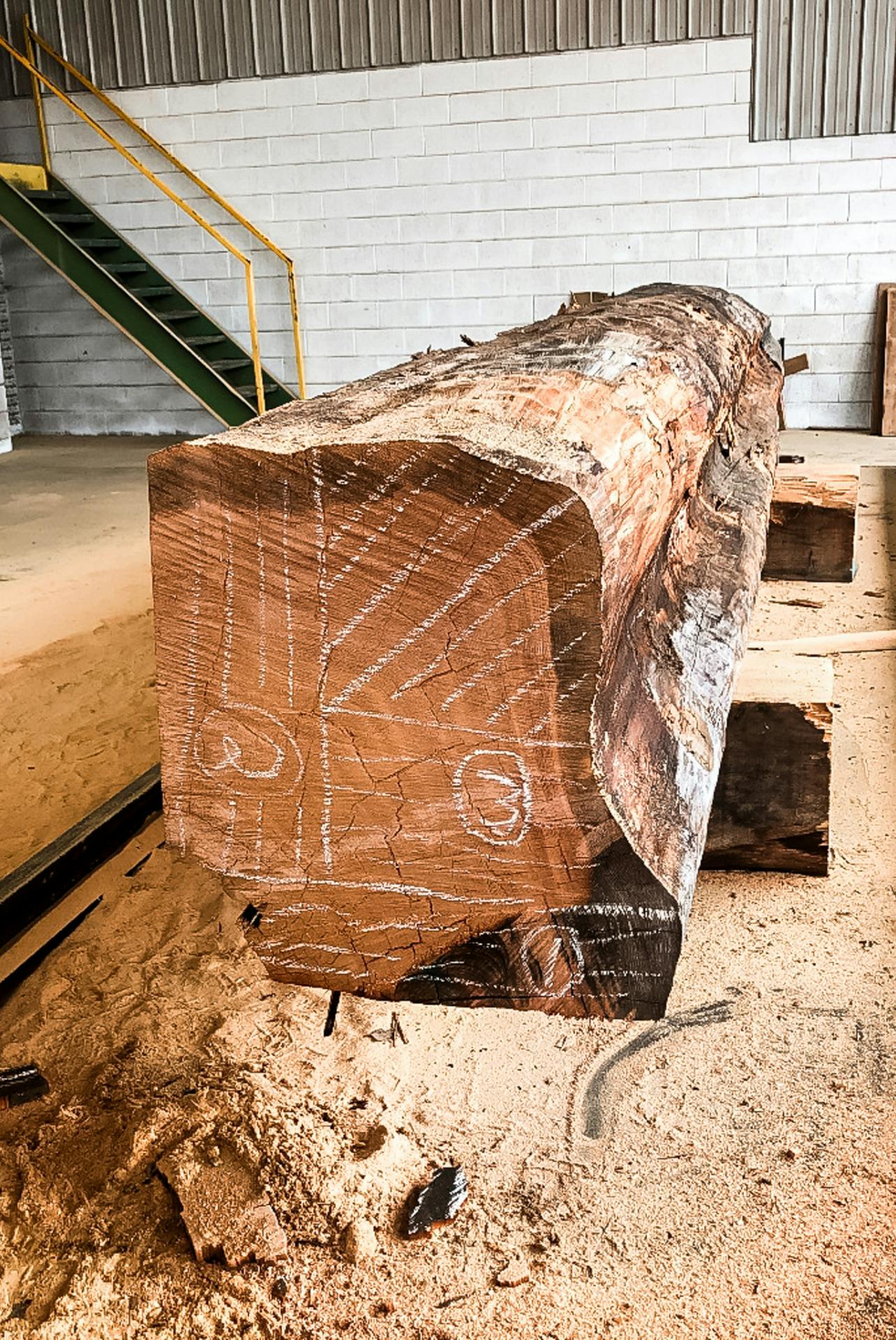quarter-sawn-american-black-walnut-tree-cuts