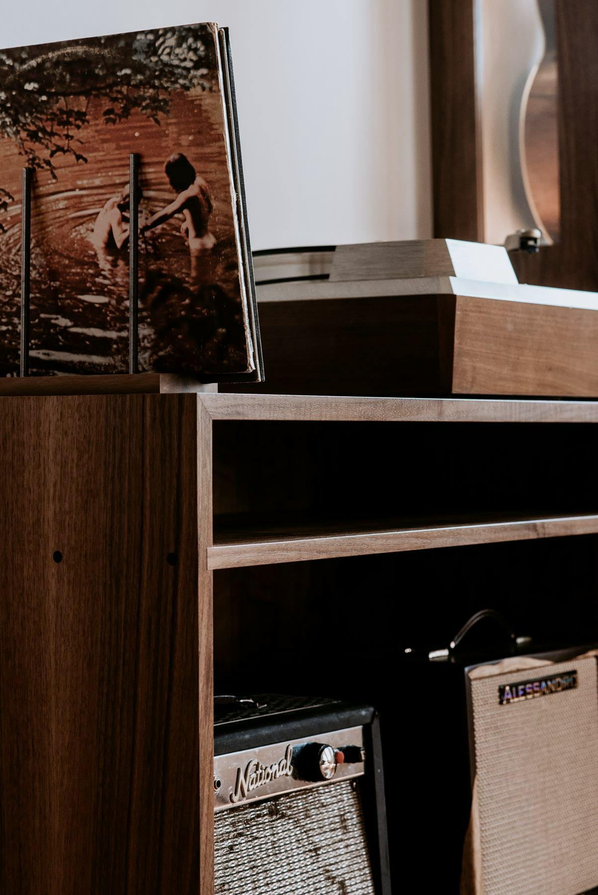 custom-vinyl-record-storage-cabinet