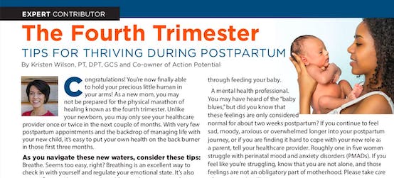 4th Trimester: Postpartum Tips - Action Potential