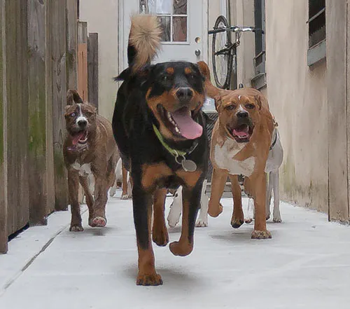 barKadelphia - Image 1