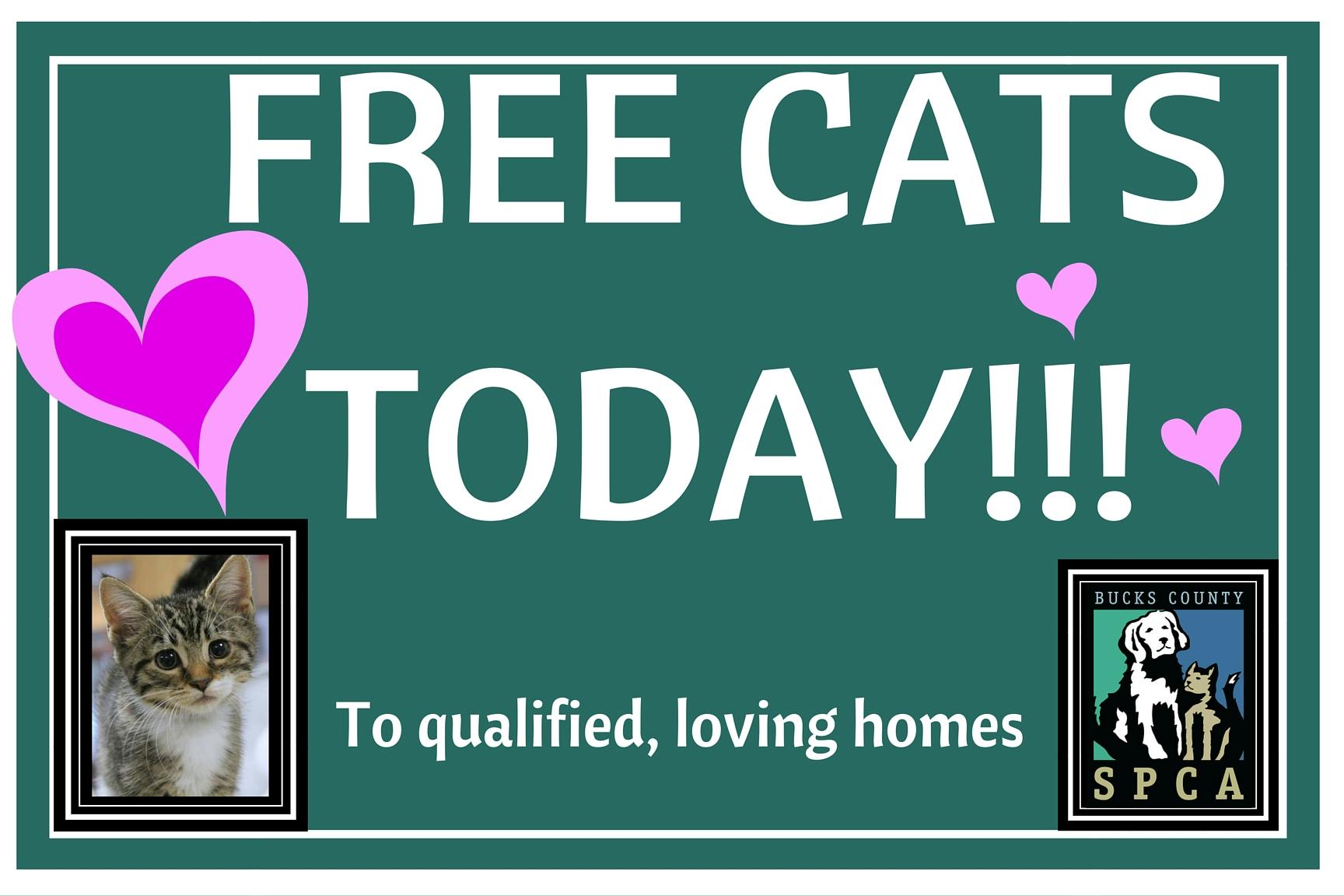 FreeCatsToday!!!!