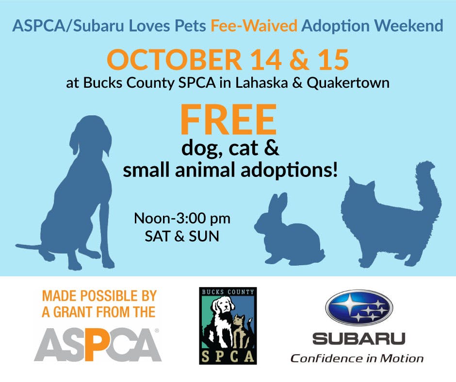 subaru-loves-pets-fee-waived-adoption-weekend-bucks-county-spca