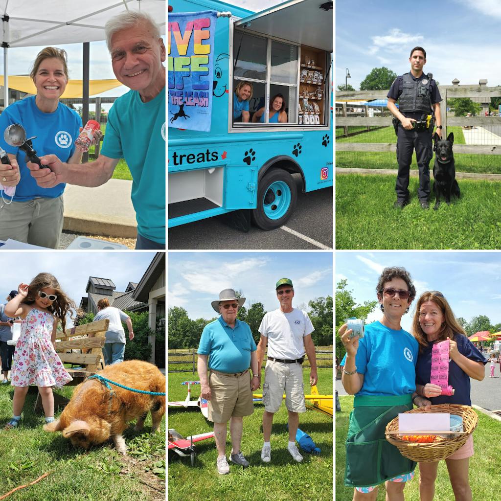 Open house event photo collage