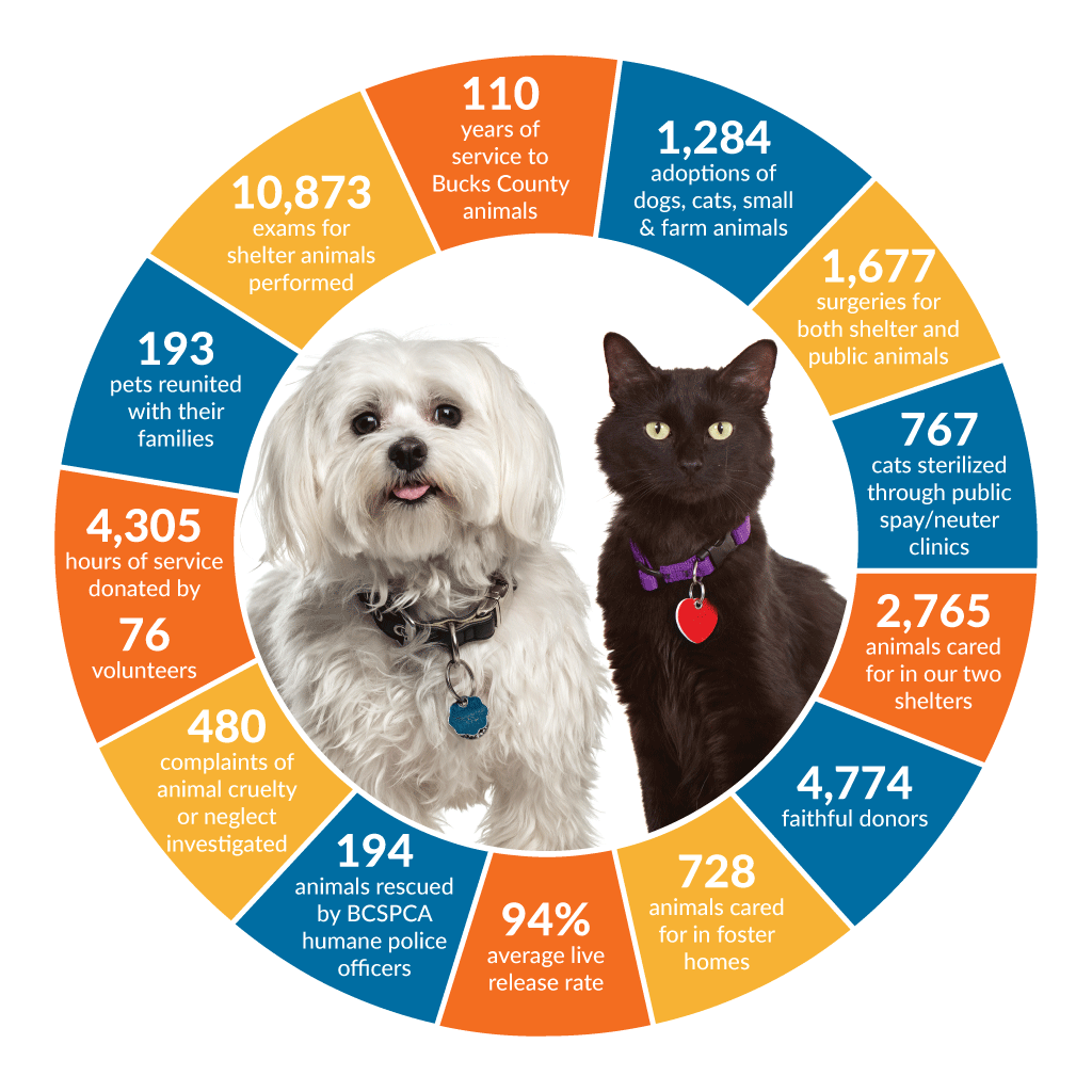 Bucks County SPCA Shelter Statistics for 2020 - Bucks County SPCA