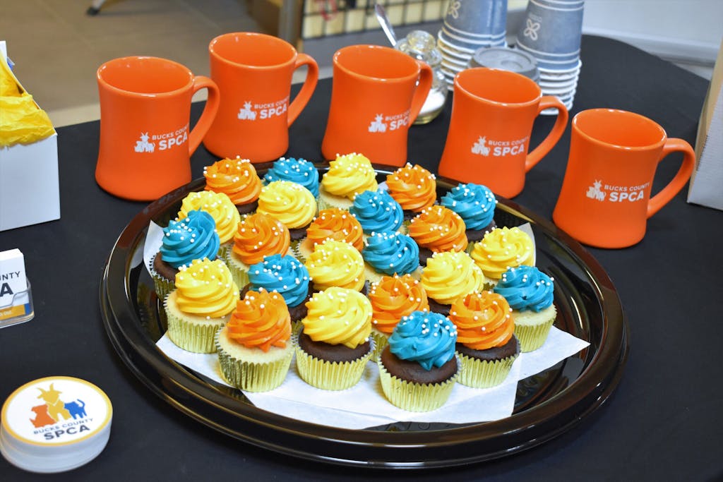 Cupcakes and SPCA swag shared at the anniversary kick-off event in February.
