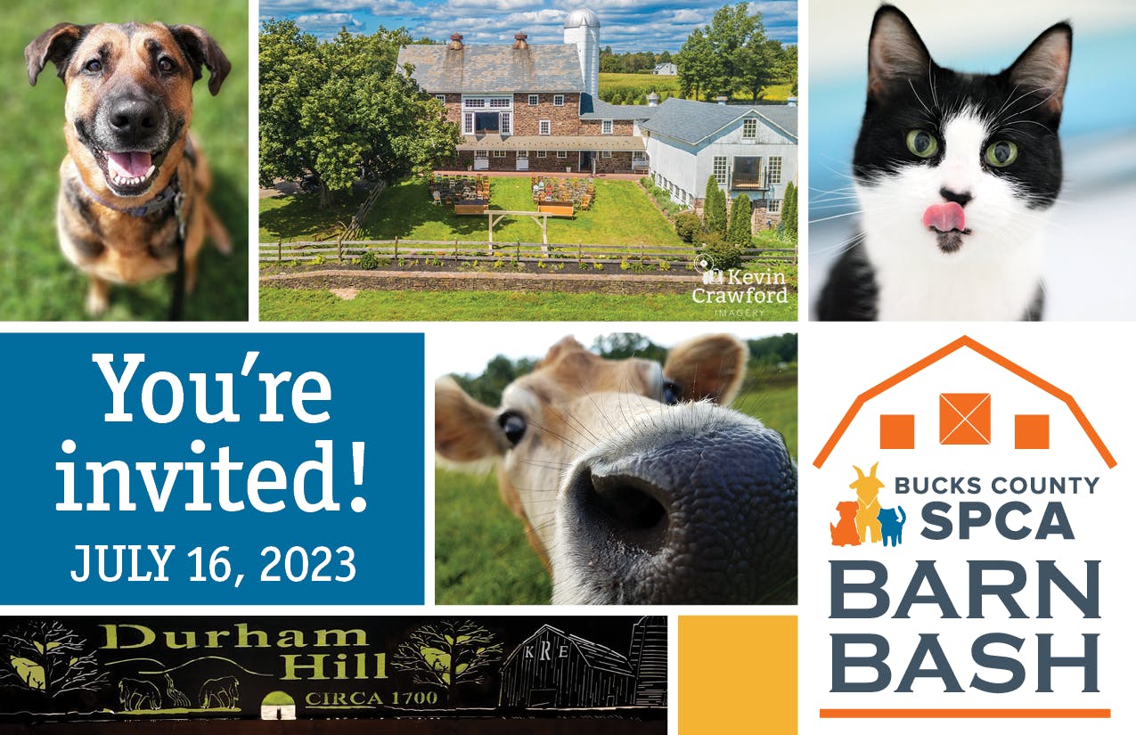 Barn Bash graphic