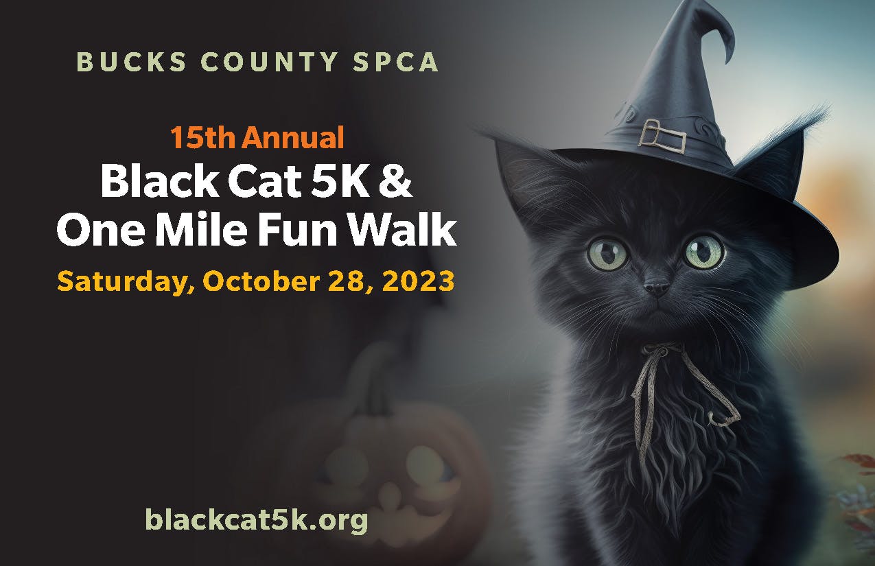 Black Cat 5K graphic with kitten in a black hat