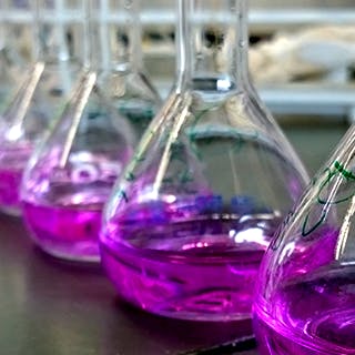 Products Everchem Specialty Chemicals