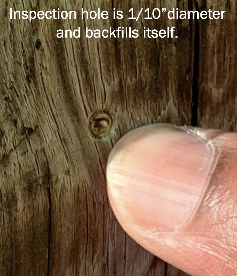 Finger pointing at a small inspection hole in a wooden power pole