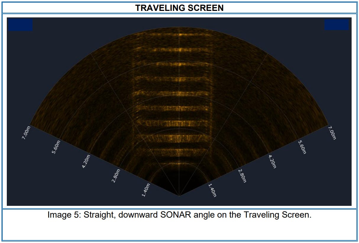 Straight, downward SONAR angle on the Traveling Screen