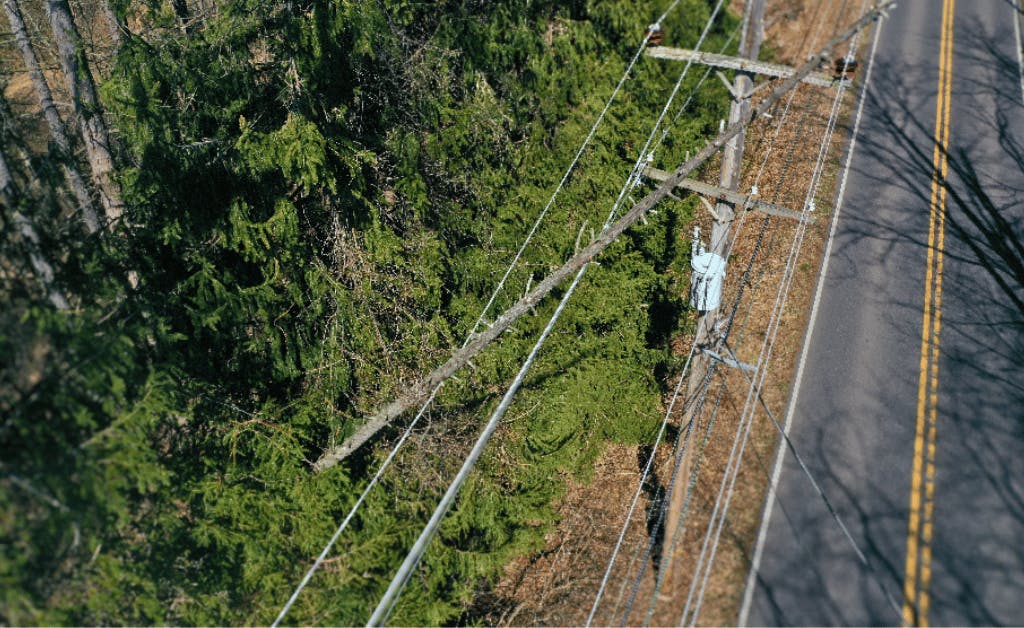 Aerial drone shot of a vegetation management inspection. A dead tree has fallen on electric wires.