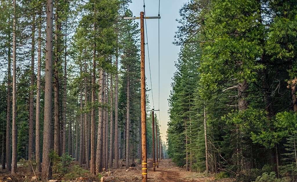 Power lines running through a long straight section of cut down forest.