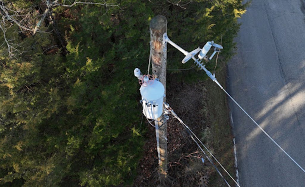 Overhead aerial view of transformer on an electric pole with surrounding vegetation encroaching on the pole.