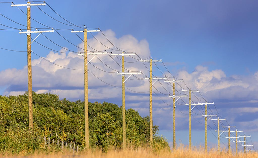 Line of T&amp;D Wood Utility Poles in Field