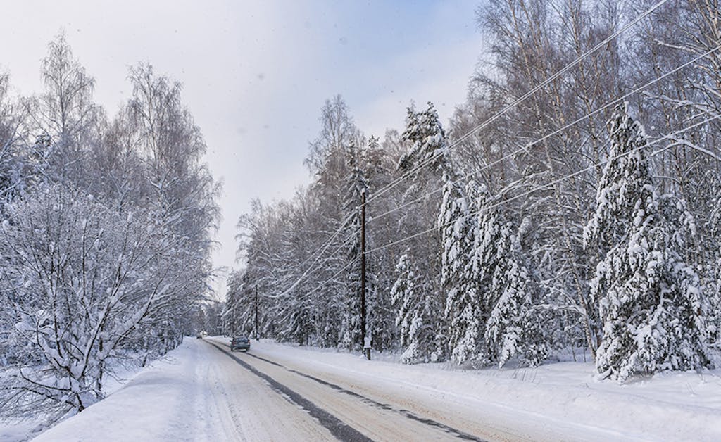 A car navigates through a winter landscape, surrounded by snow-draped fir trees, while icy utility lines run alongside the road.
