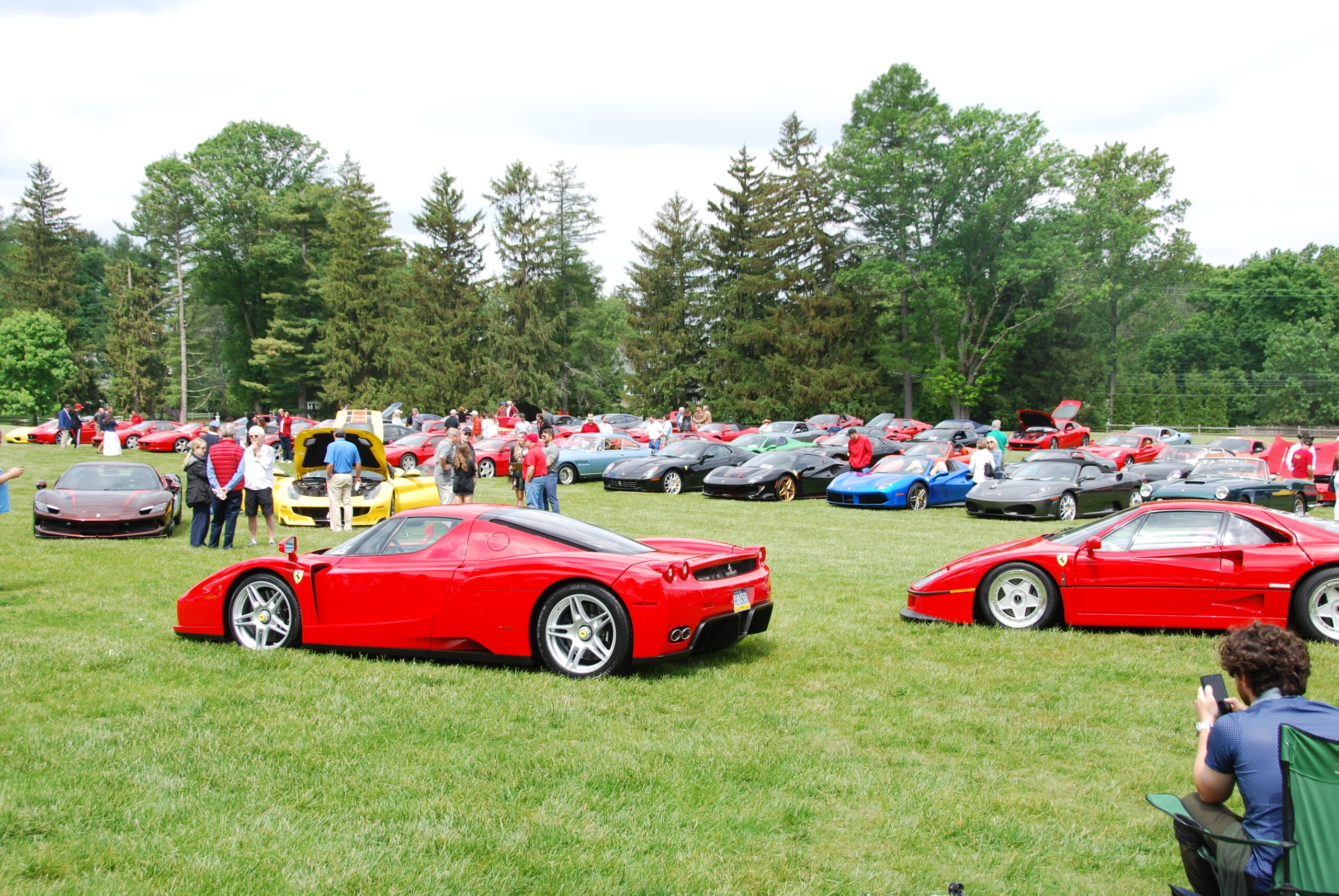 Ferraris lined up on Aronimink greens