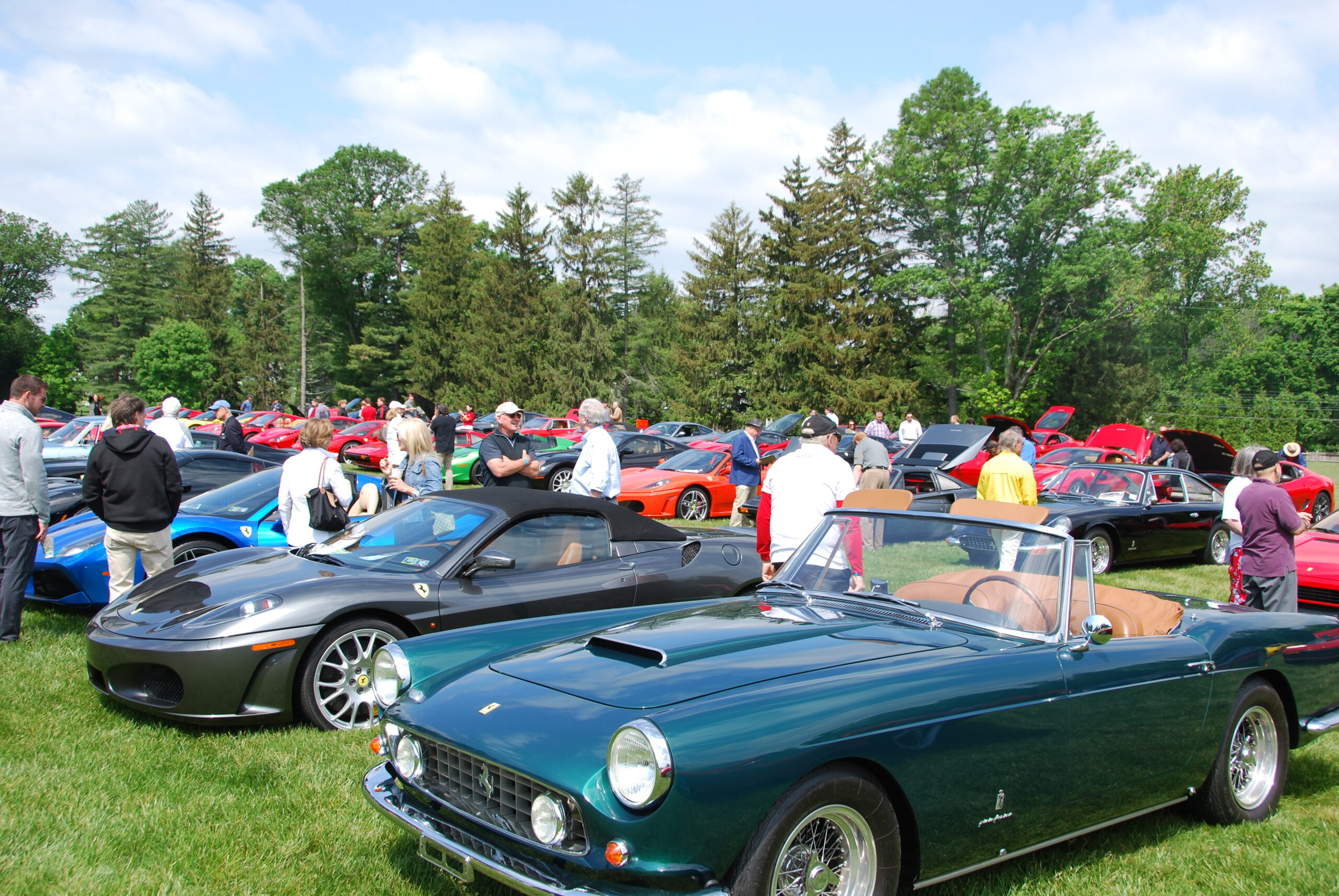 Ferrari 430 and 250 in Concorso showfield