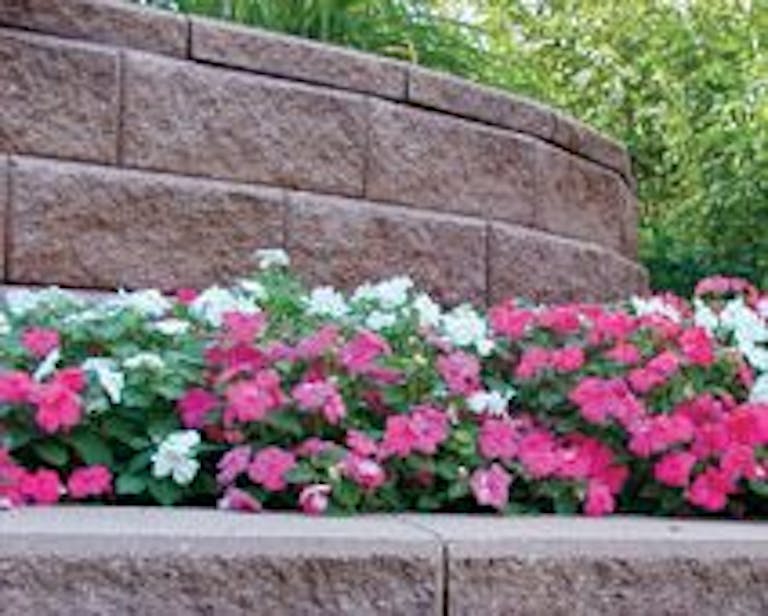 paving stones for edging