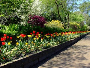 pavers for garden edging