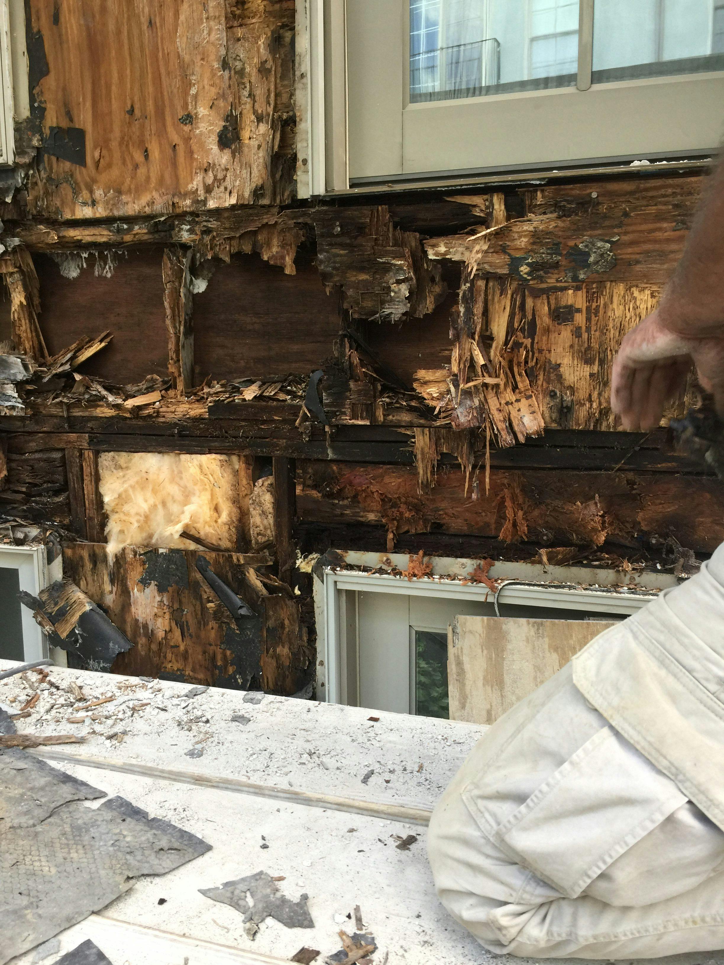 Stucco Safety Hazard: Mold