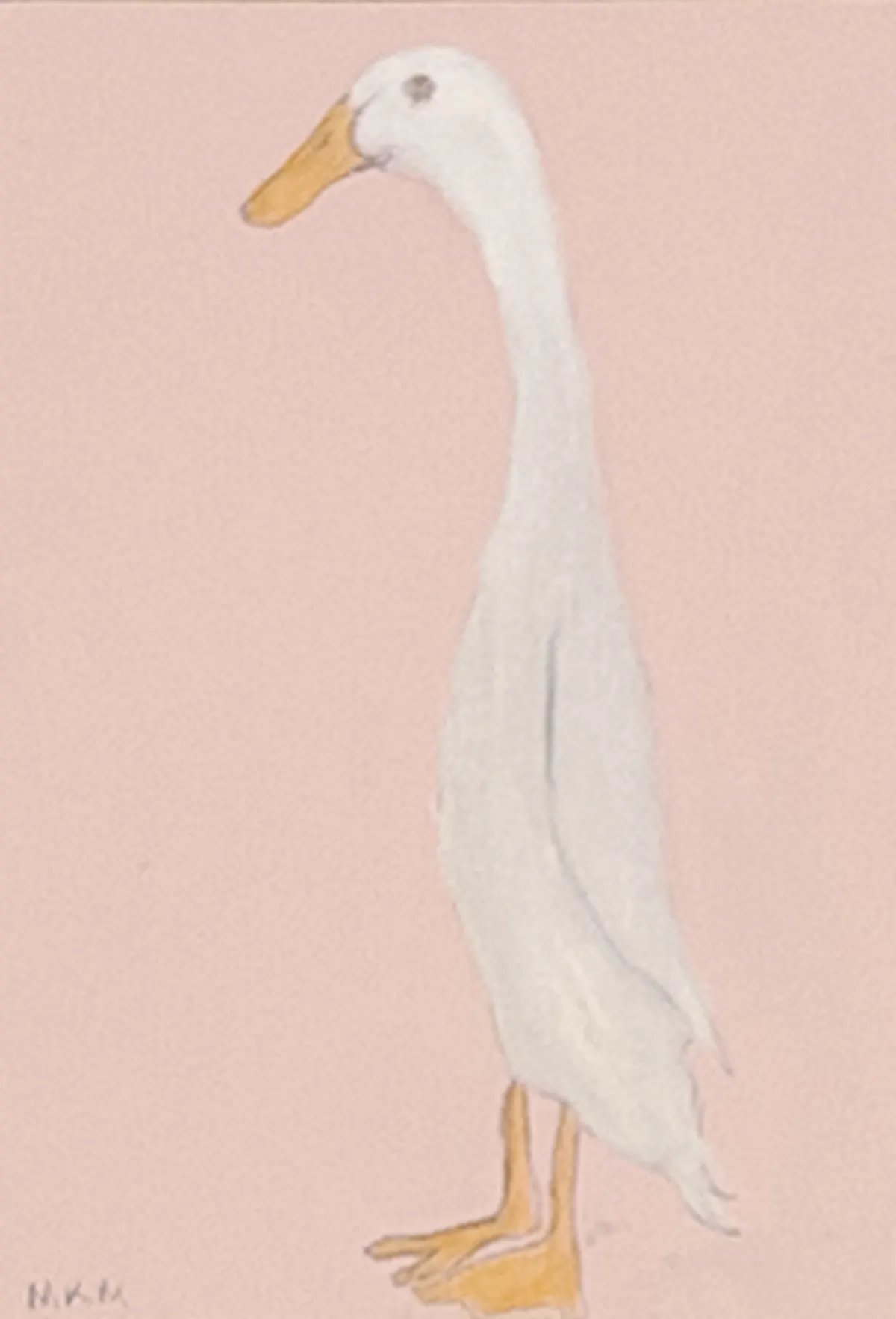 Duck