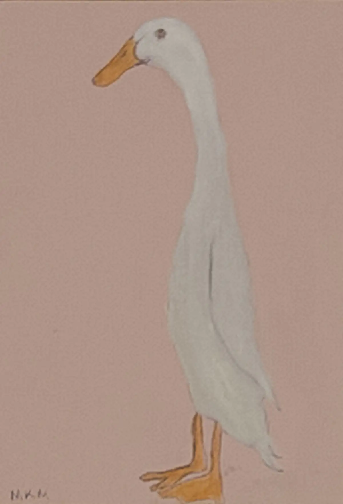 Duck