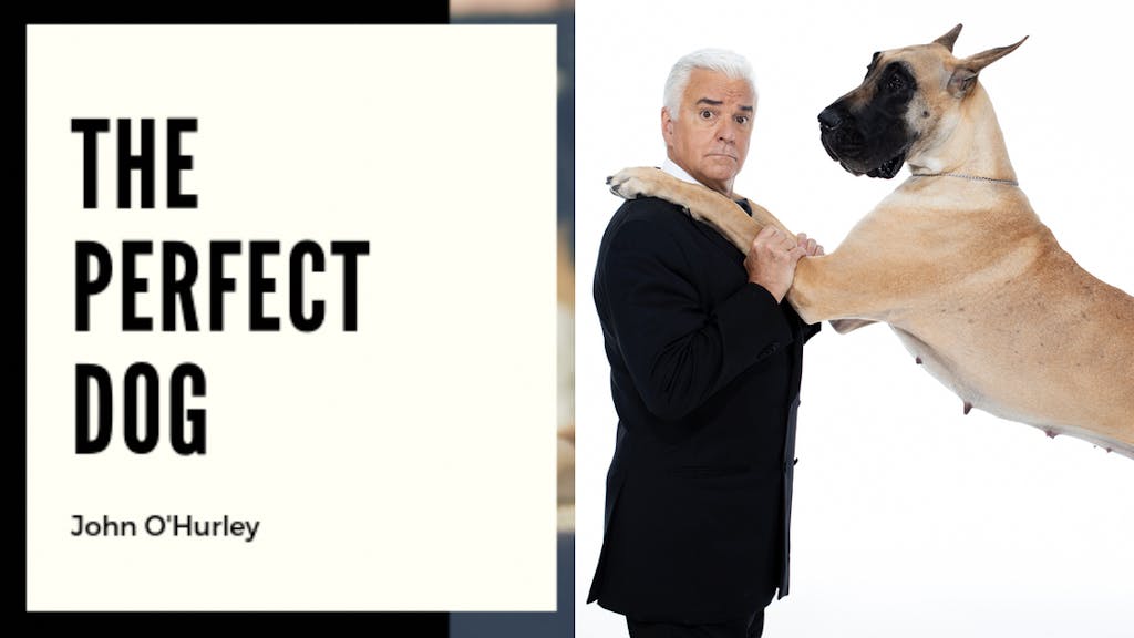 Hurley 2024 hugging dog