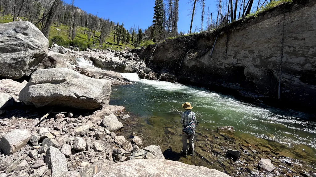 a man fishing at yellowstone