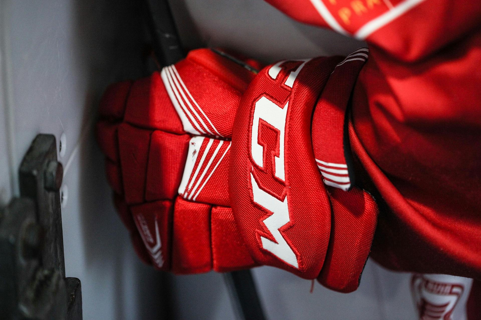 Hockey gloves