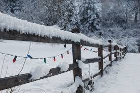 colored lights fence christmas