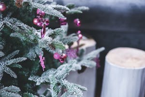 christmas tree on the porch