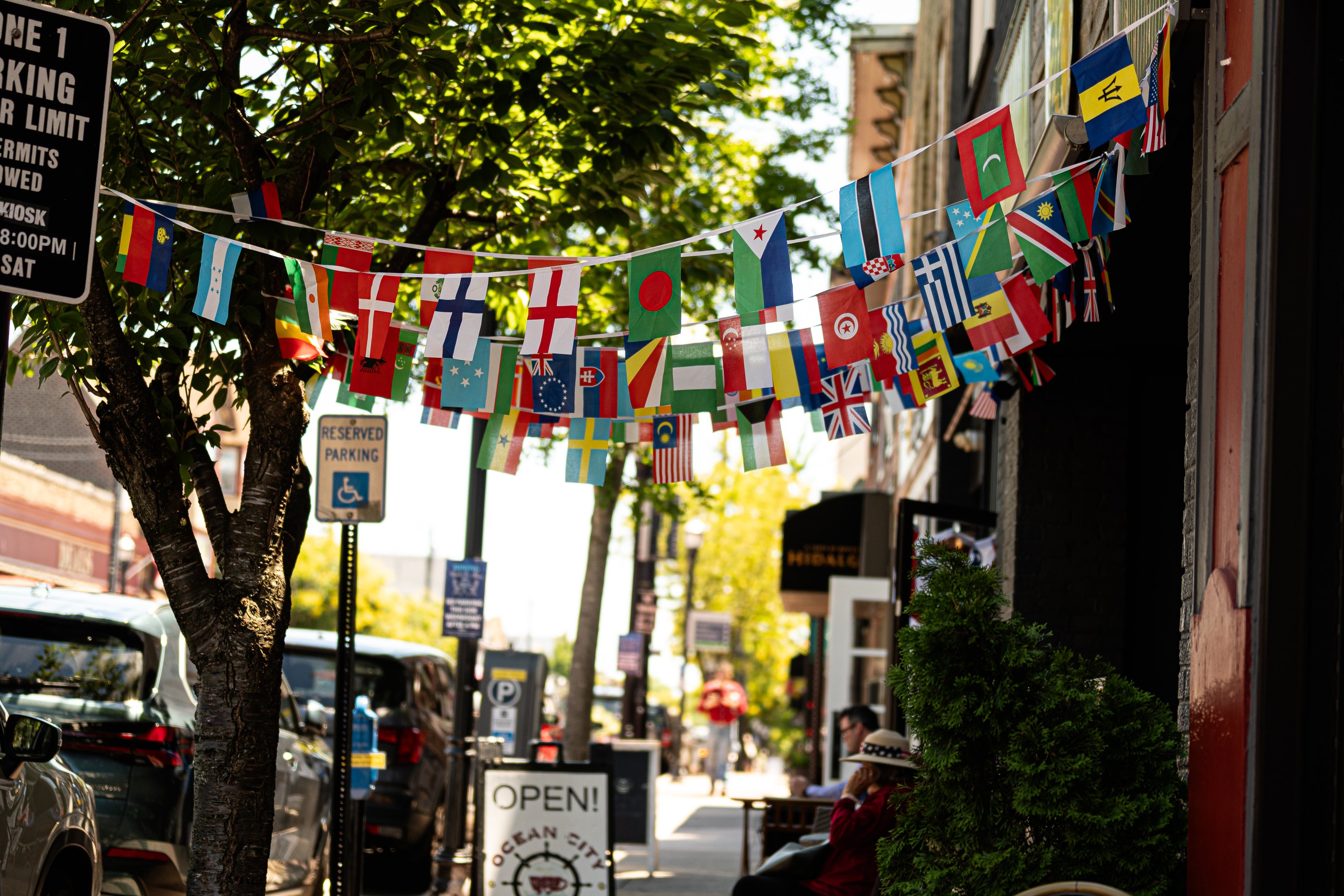Strings of international flags hung across State Street, backlit by afternoon sun